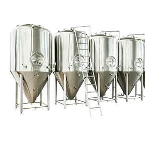 河南专业啤酒发酵设备